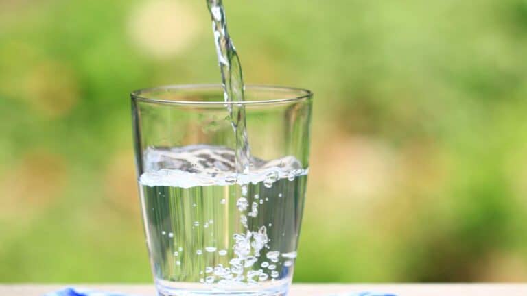 Understanding Daily Hydration Needs